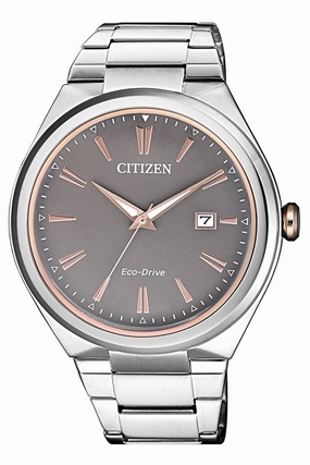 Citizen Dress Womens Watch FE6026-50H